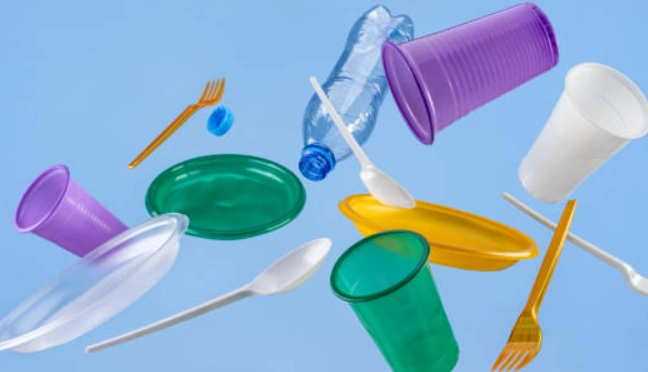 waste fly identification