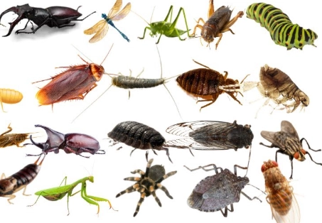 debugging techniques