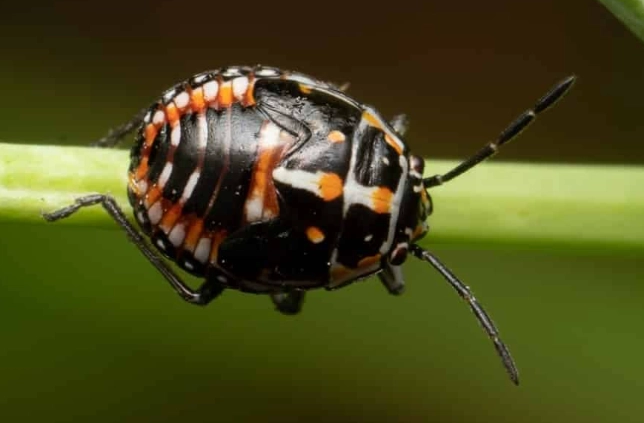 brand confusion lawsuit