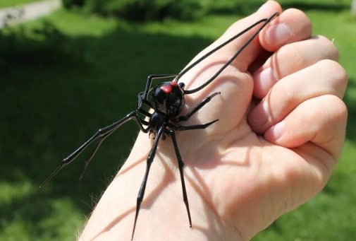 protecting assets from spouse