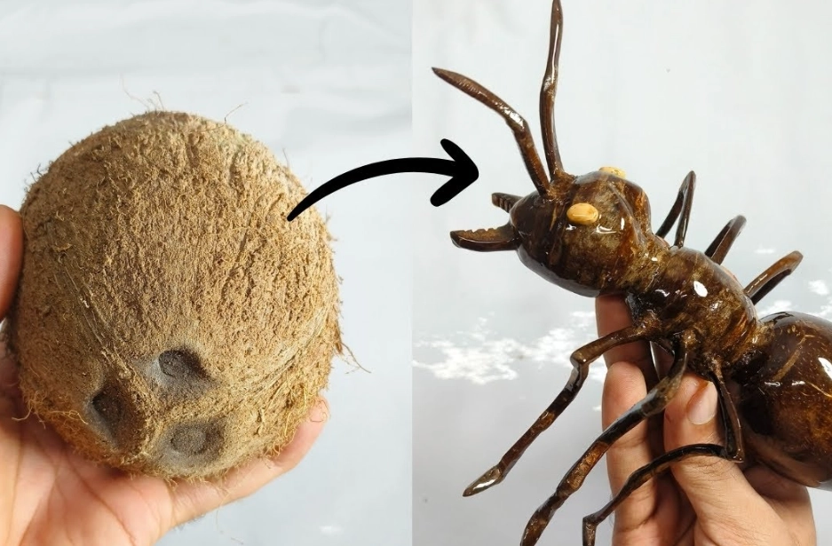 weaver ants